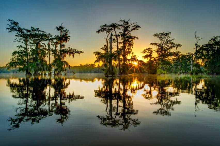 Swamp at Sunrise - GEMcam Photography